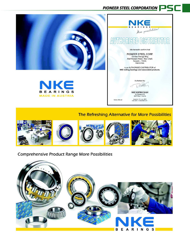 nke corporation